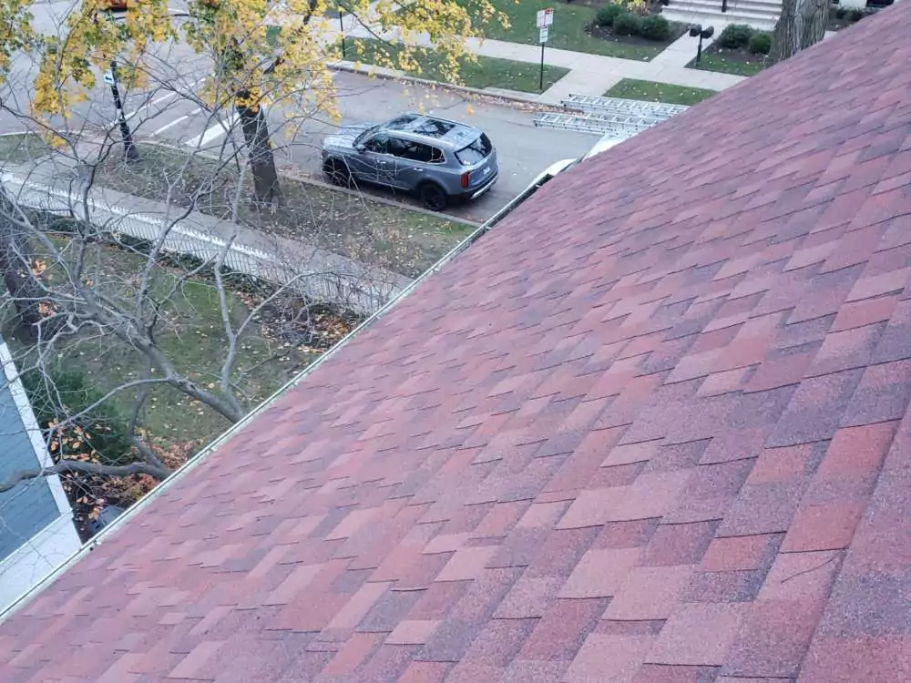 red asphalt shingles